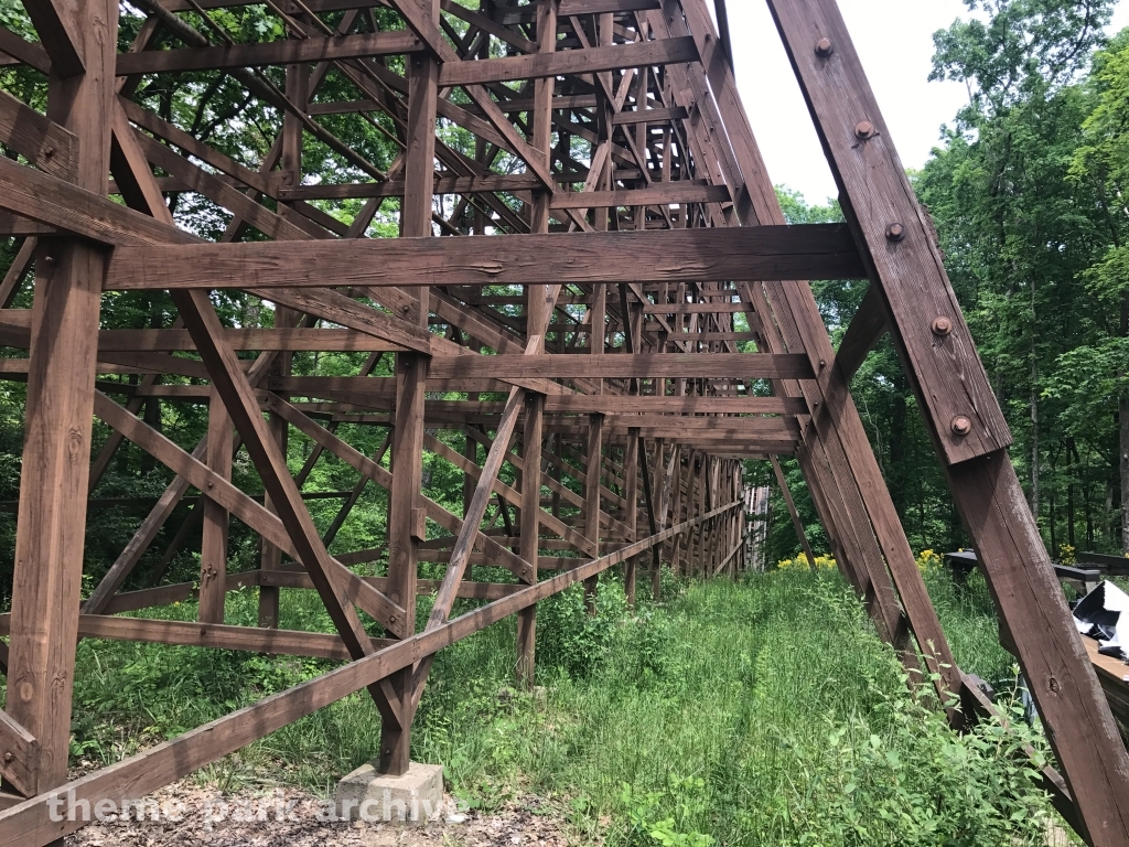The Beast at Kings Island