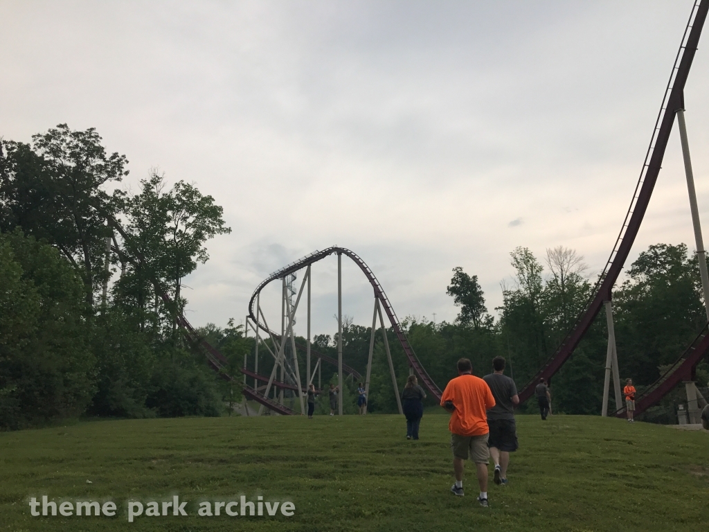 Diamondback at Kings Island
