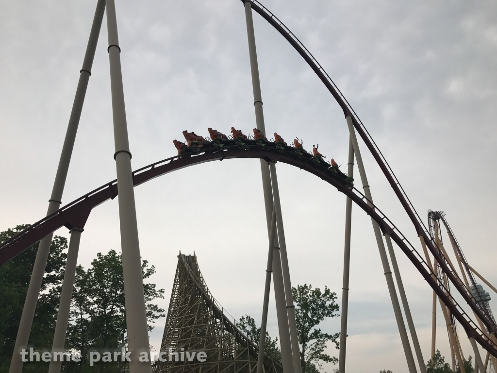 Diamondback at Kings Island