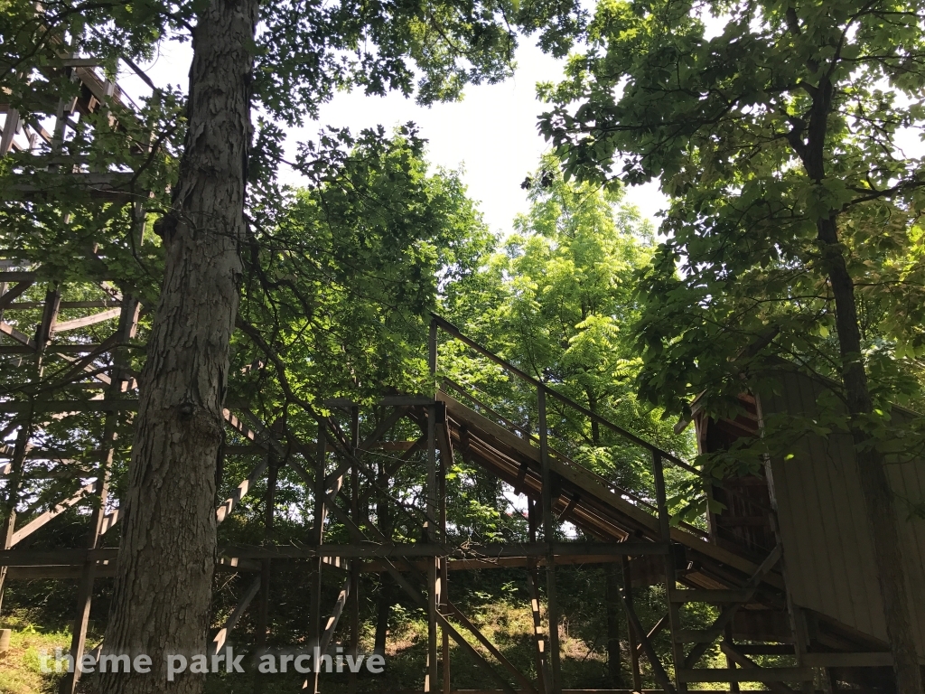 Raven at Holiday World