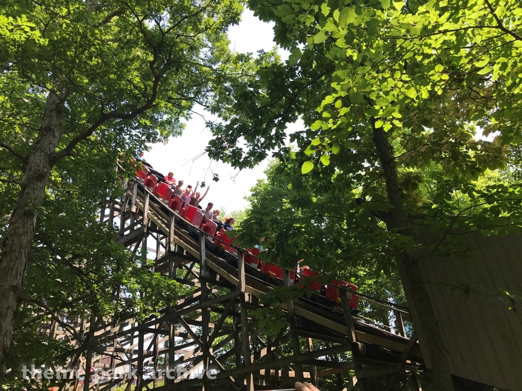 Raven at Holiday World