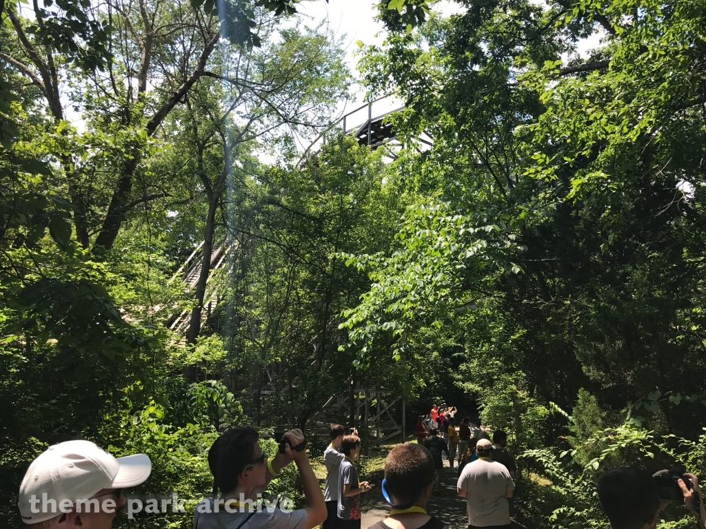 Raven at Holiday World
