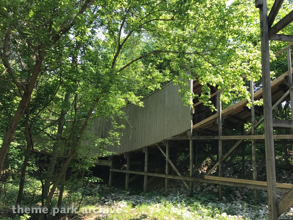 Raven at Holiday World