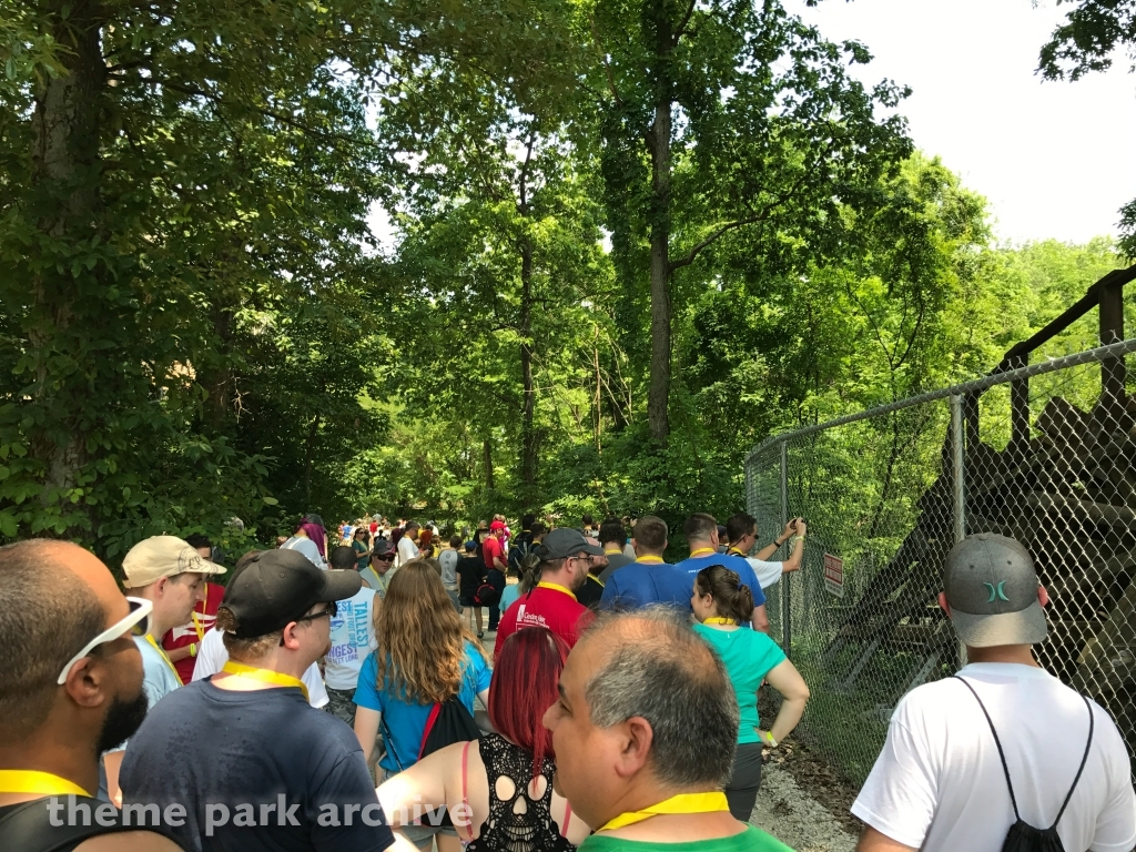 Raven at Holiday World