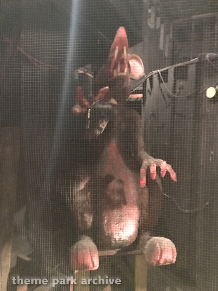 Whacky Shack at Waldameer Park