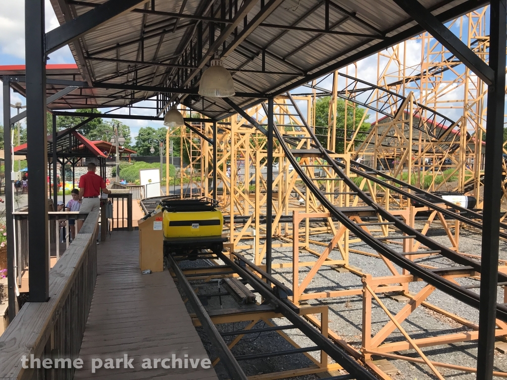 Wild Cat at Adventure Park USA