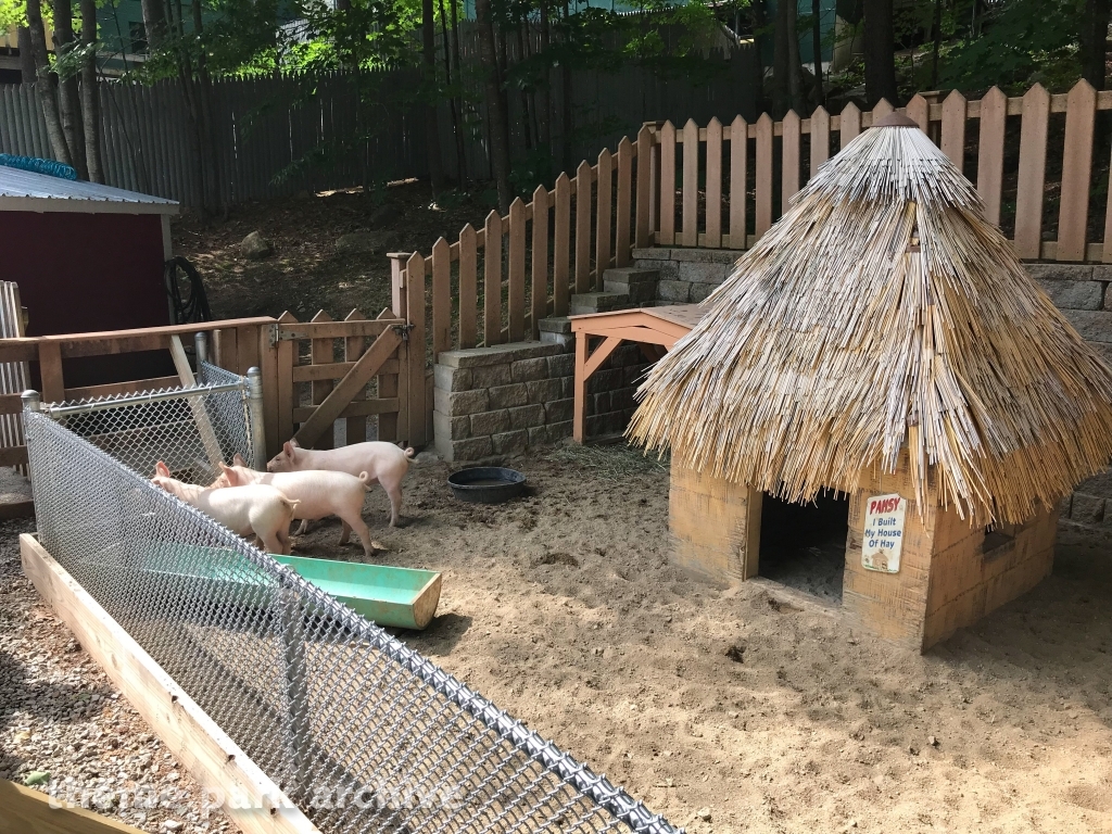 Storybook Forest at Story Land