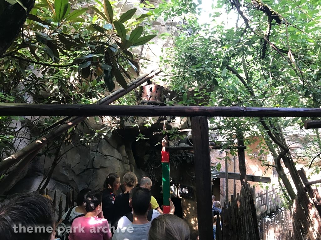 Black Mamba at Phantasialand