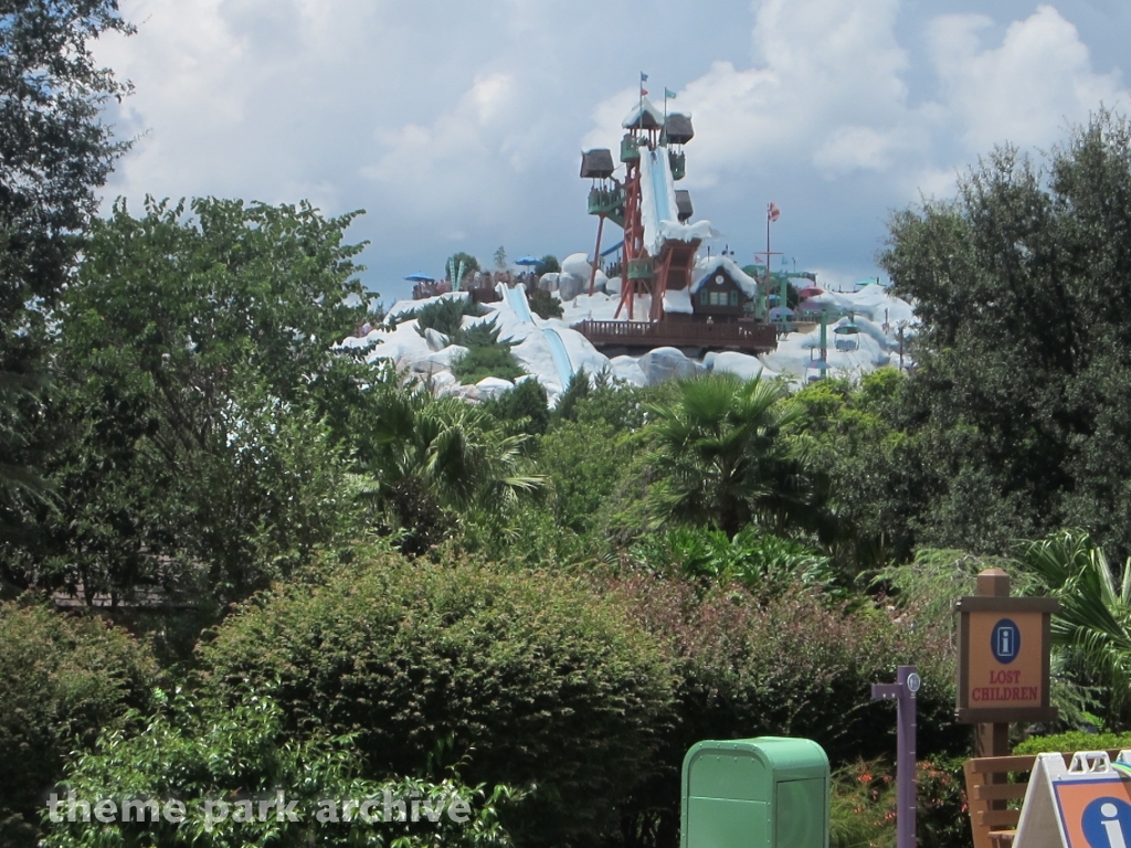 Summit Plummet at Blizzard Beach