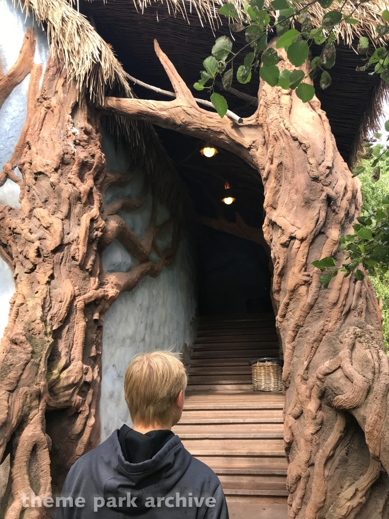 Dwervelwind at Toverland