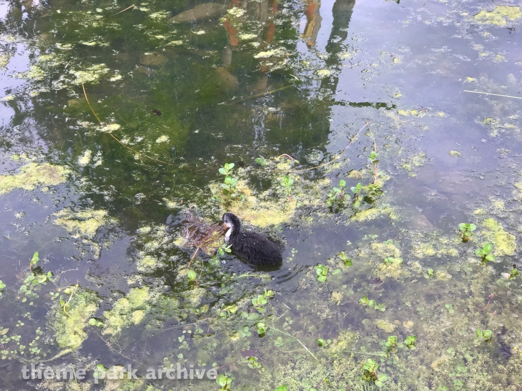 Troy area at Toverland