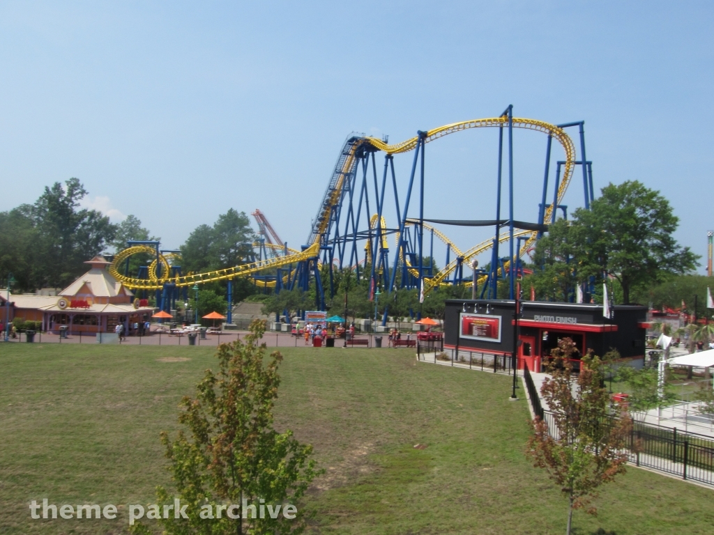 Nighthawk at Carowinds