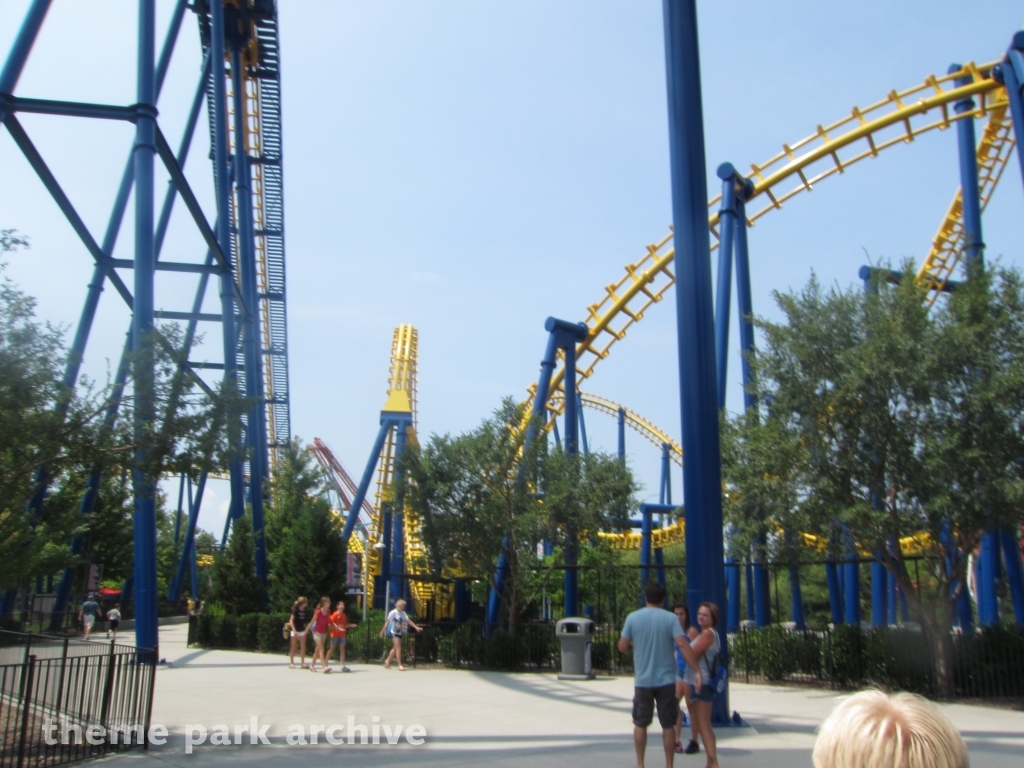 Nighthawk at Carowinds