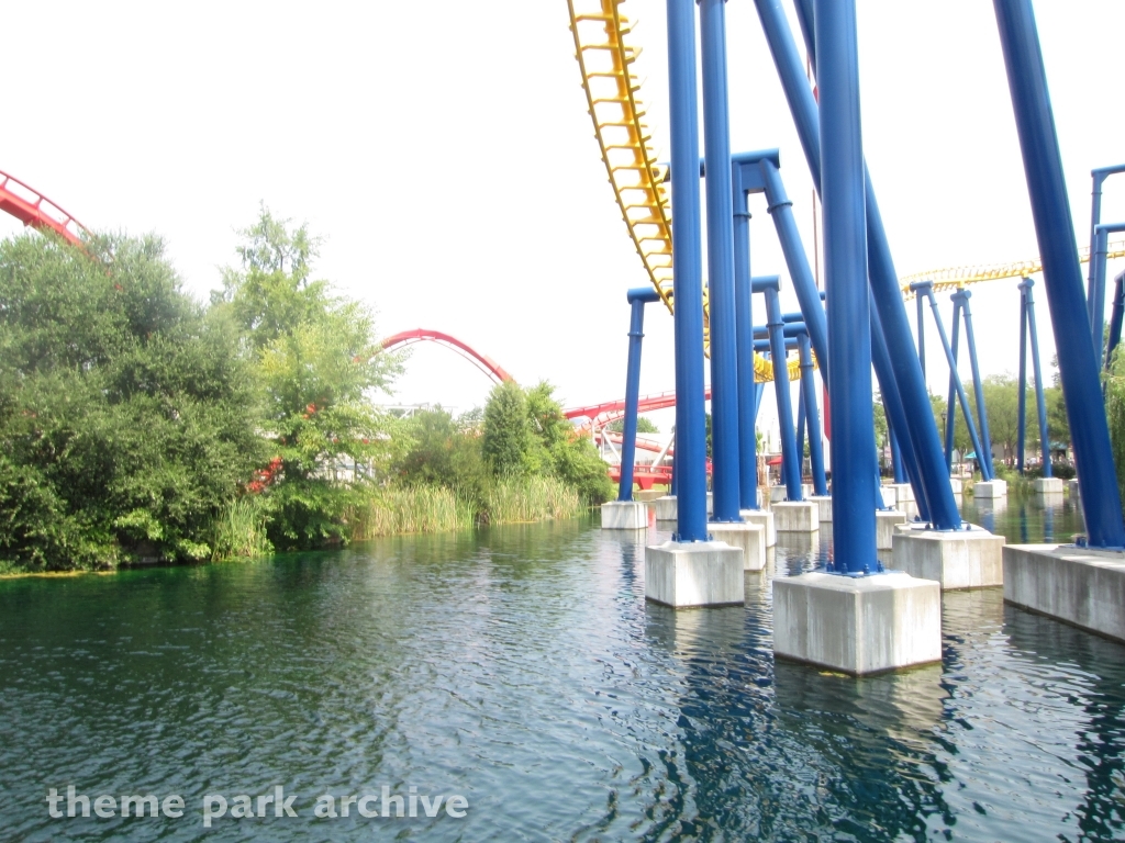 Nighthawk at Carowinds