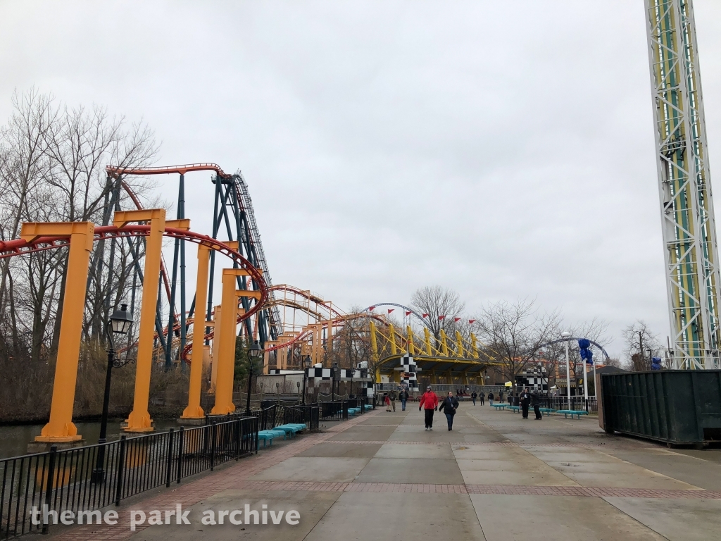 Iron Dragon at Cedar Point