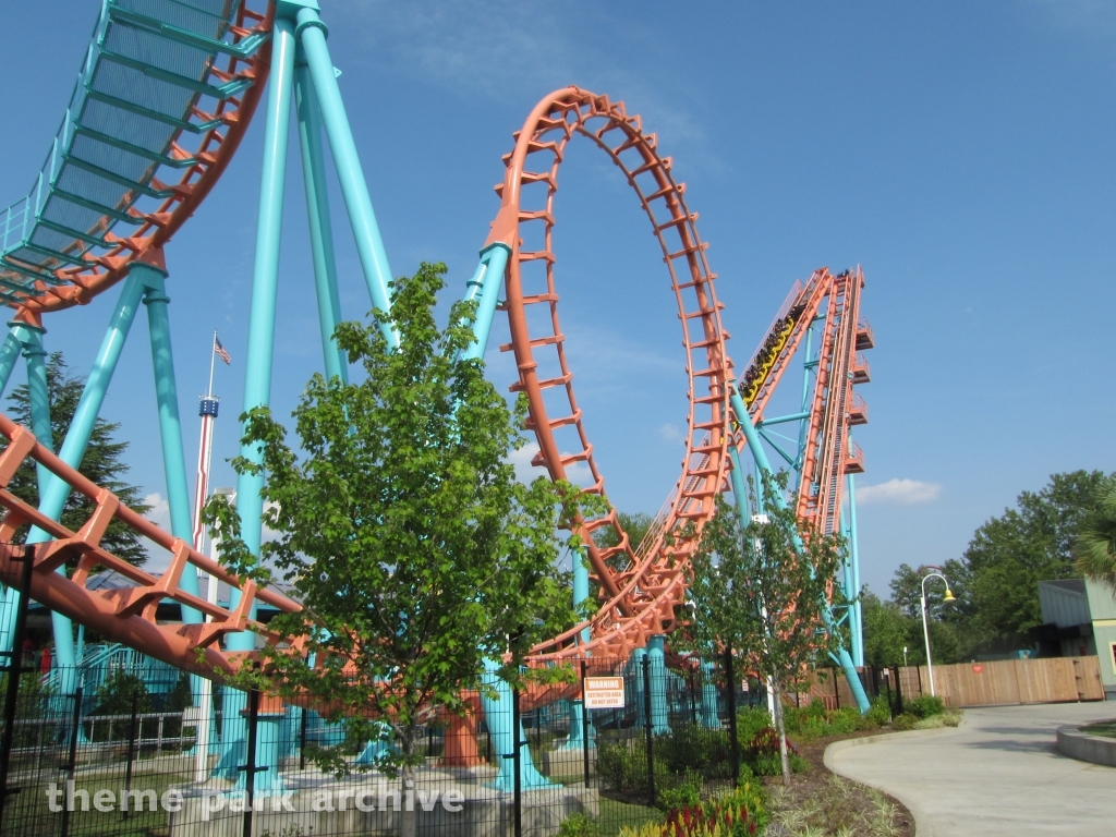 The Flying Cobras at Carowinds
