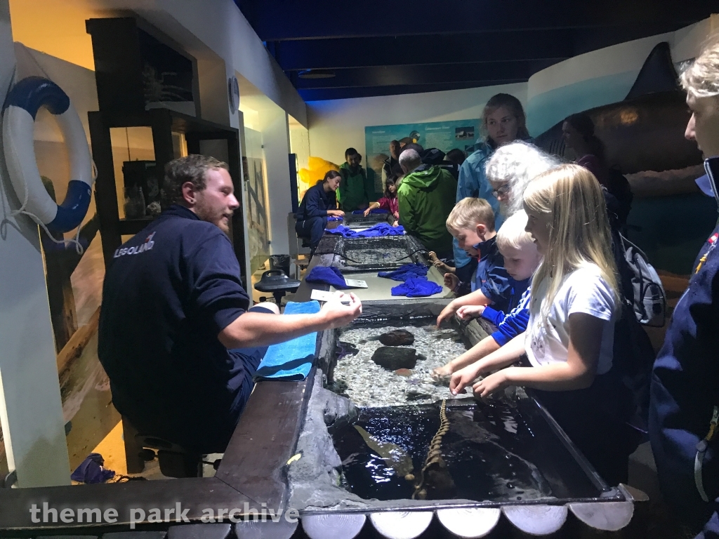 Atlantis by SEA LIFE at LEGOLAND Billund