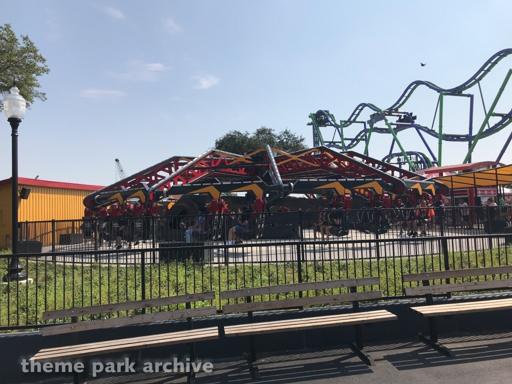 Catwoman Whip at Six Flags Over Texas