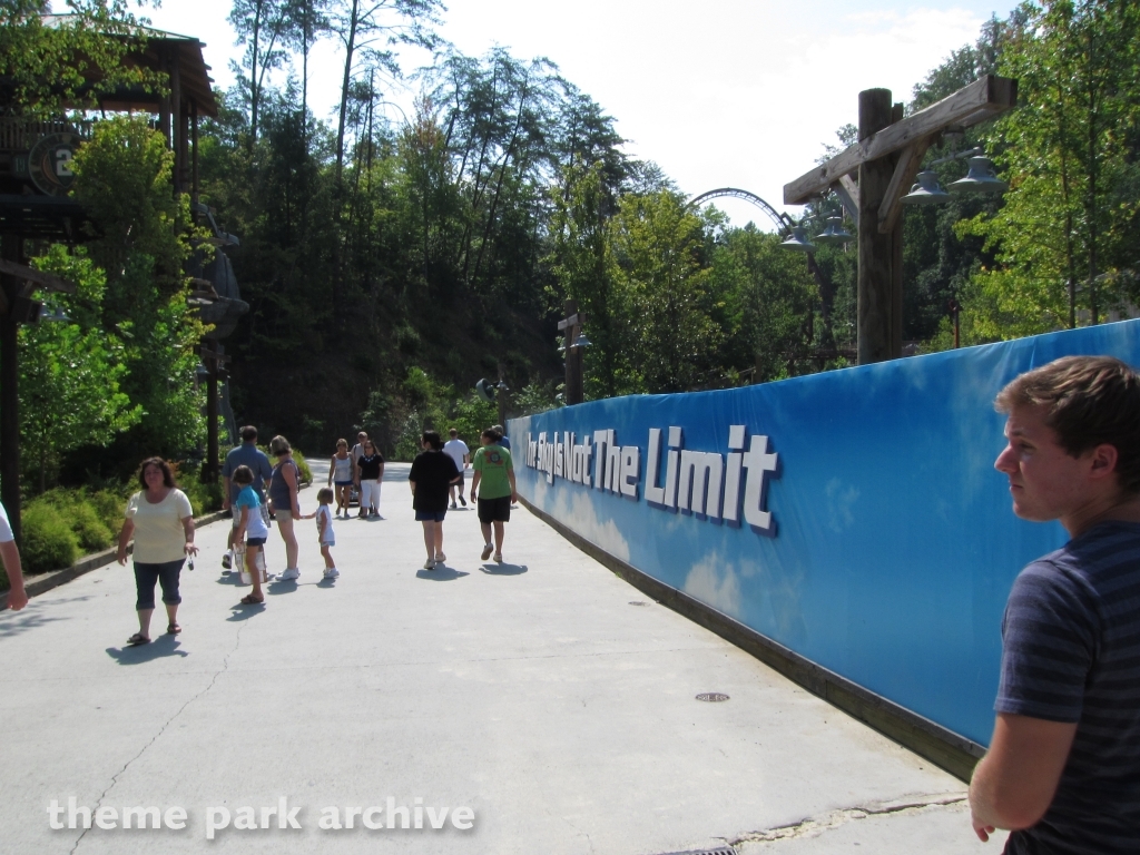 Wild Eagle at Dollywood