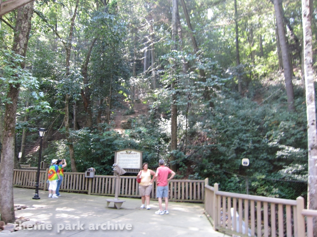 Wings of America at Dollywood