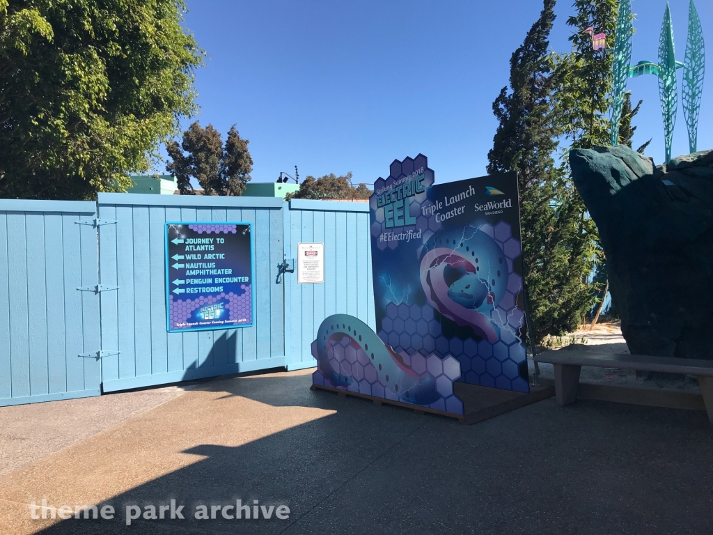 Electric Eel at SeaWorld San Diego