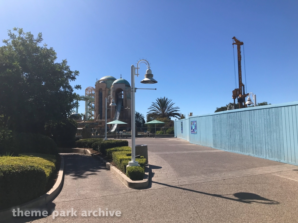 Electric Eel at SeaWorld San Diego