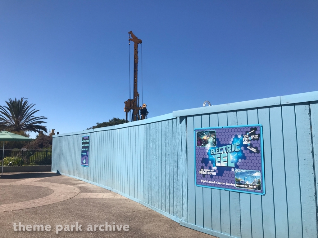 Electric Eel at SeaWorld San Diego