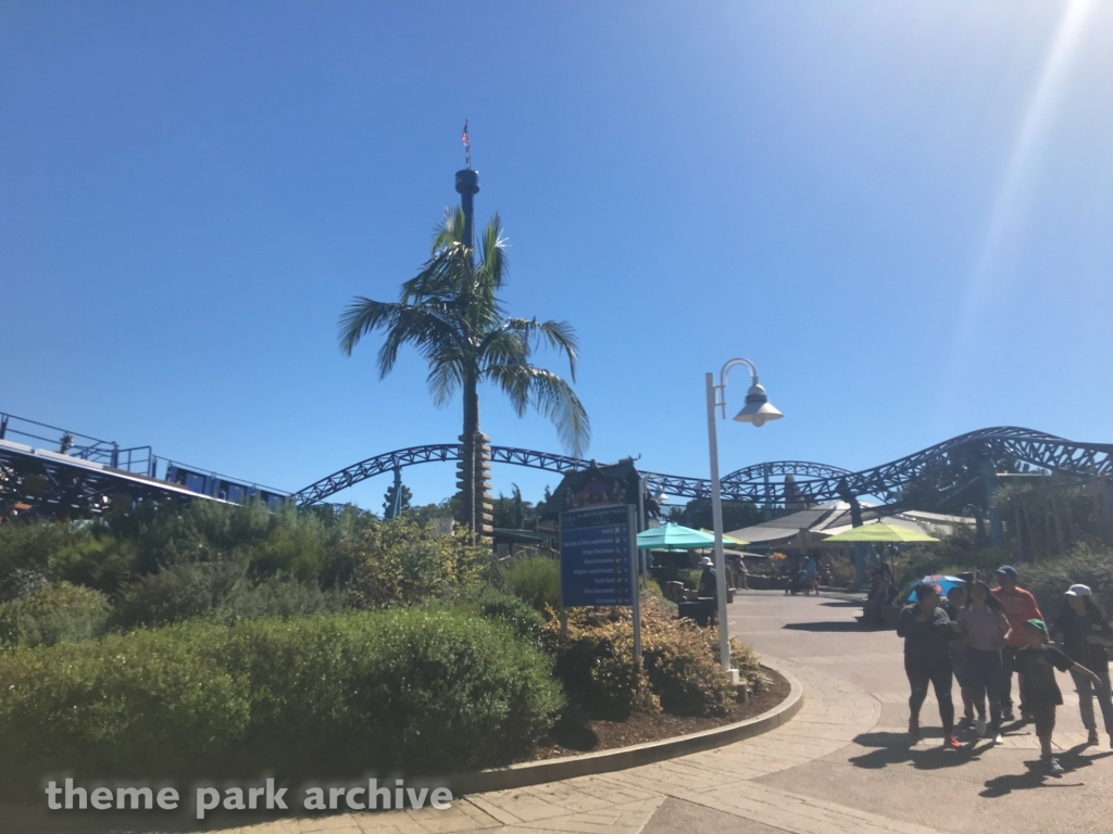 Manta at SeaWorld San Diego