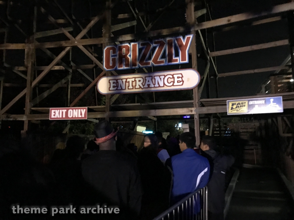 Grizzly at California's Great America