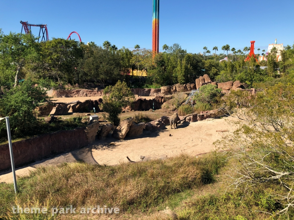 Serengeti Plain at Busch Gardens Tampa