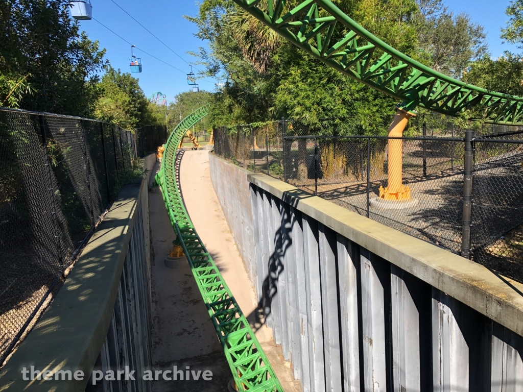 Cheetah Hunt at Busch Gardens Tampa