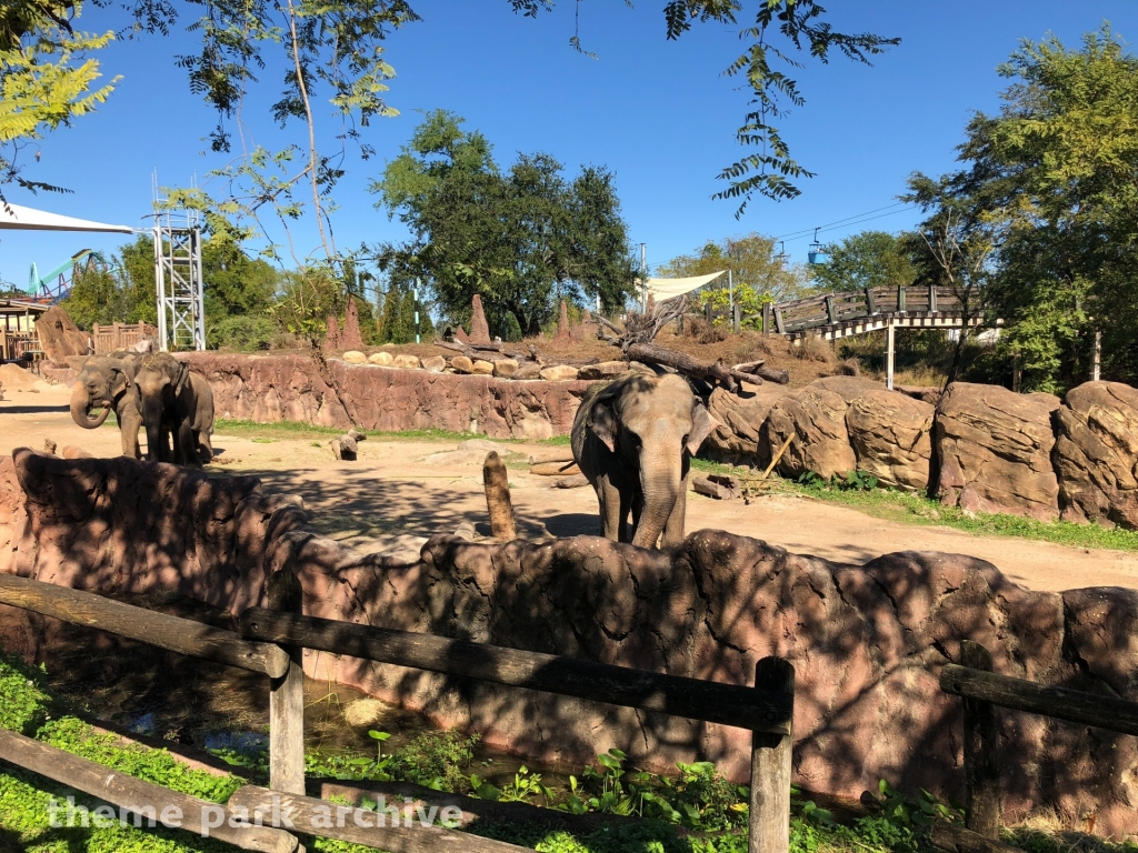 Edge of Africa at Busch Gardens Tampa