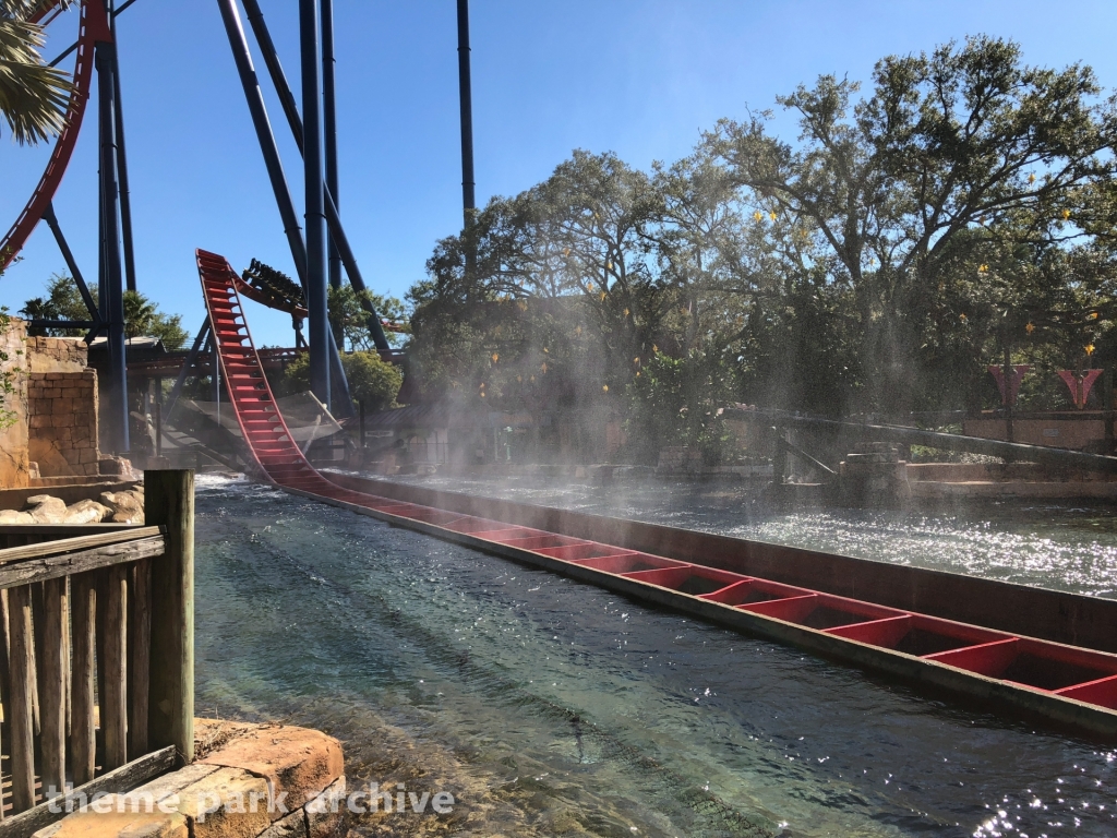 Sheikra at Busch Gardens Tampa