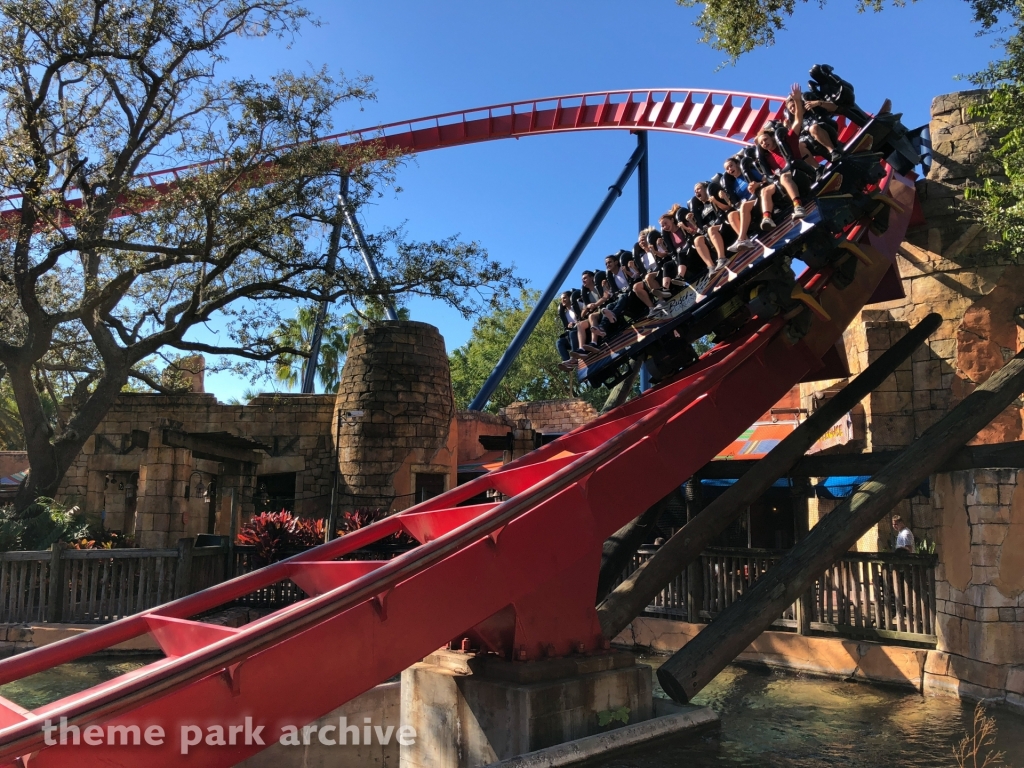 Sheikra at Busch Gardens Tampa