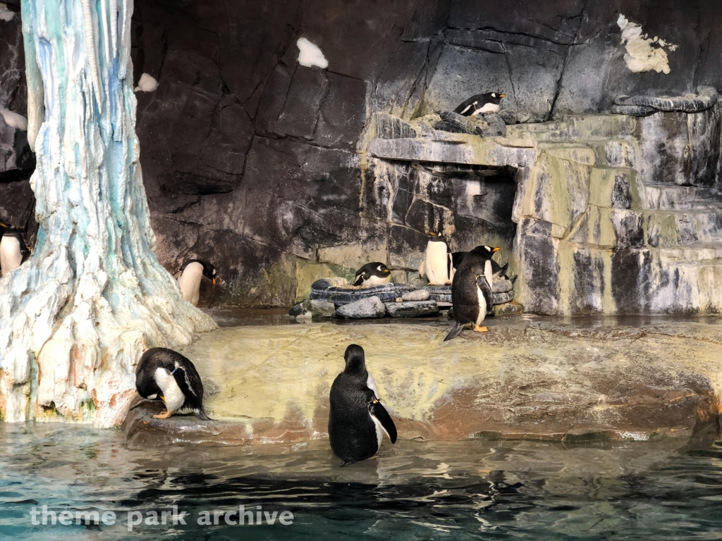 Antarctica Empire of the Penguin at SeaWorld Orlando