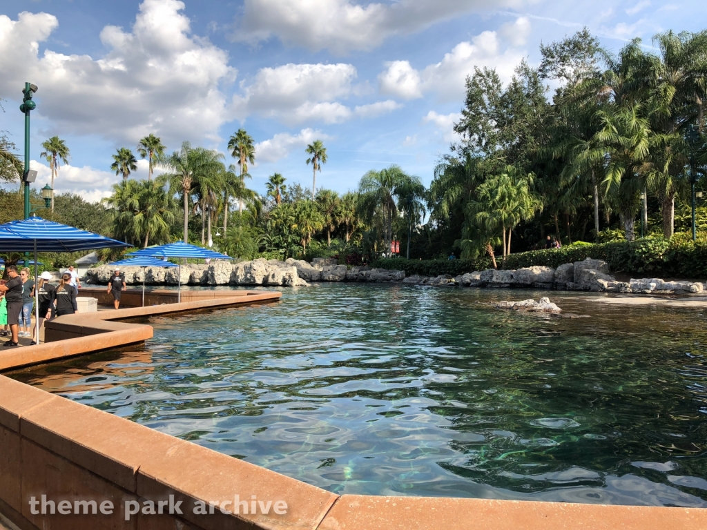 Dolphin Cove at SeaWorld Orlando