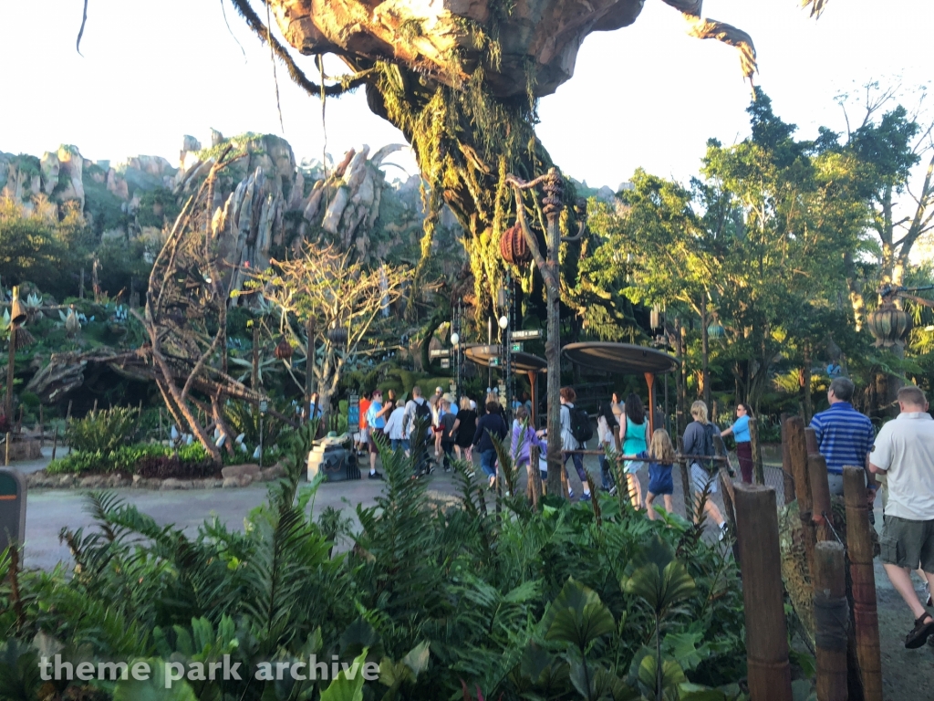 Pandora: The World of Avatar at Disney's Animal Kingdom