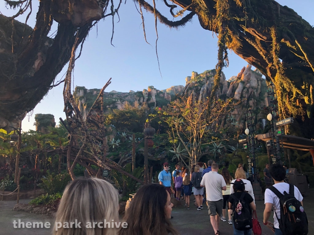 Pandora: The World of Avatar at Disney's Animal Kingdom