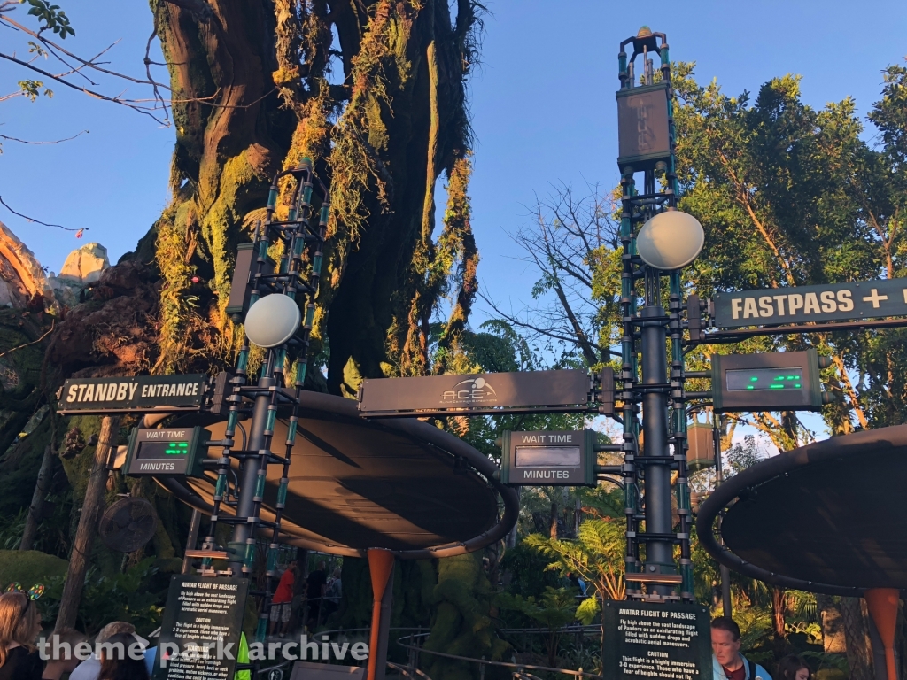 Avatar Flight of Passage at Disney's Animal Kingdom
