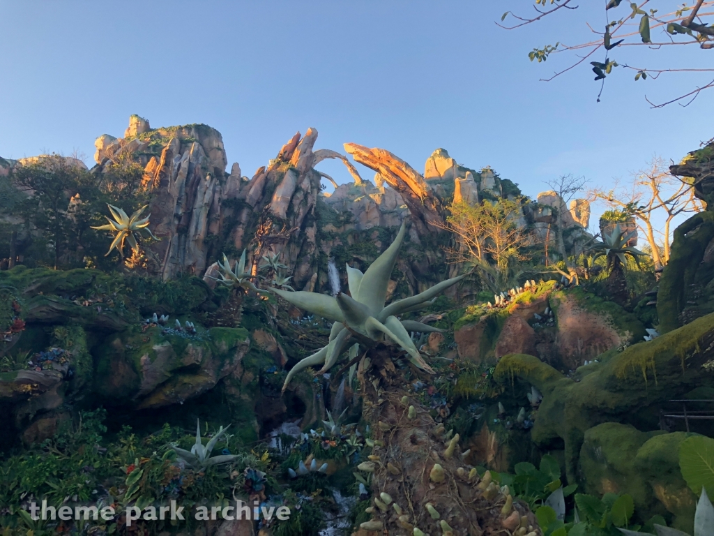 Pandora: The World of Avatar at Disney's Animal Kingdom