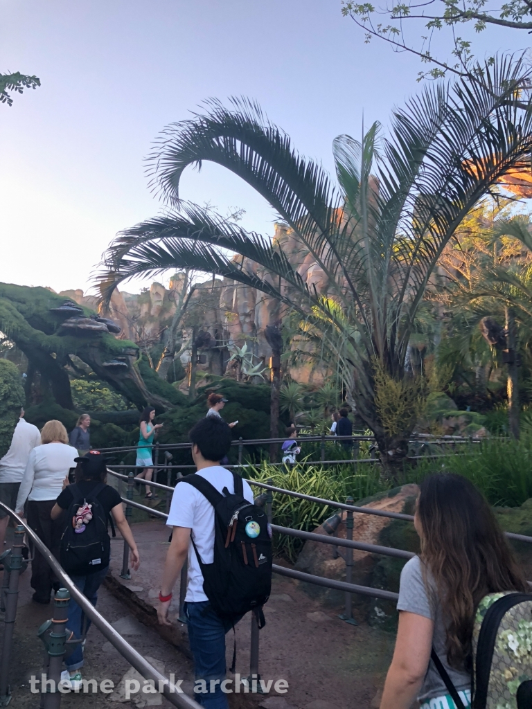 Avatar Flight of Passage at Disney's Animal Kingdom