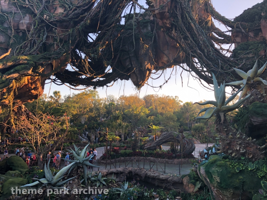 Avatar Flight of Passage at Disney's Animal Kingdom
