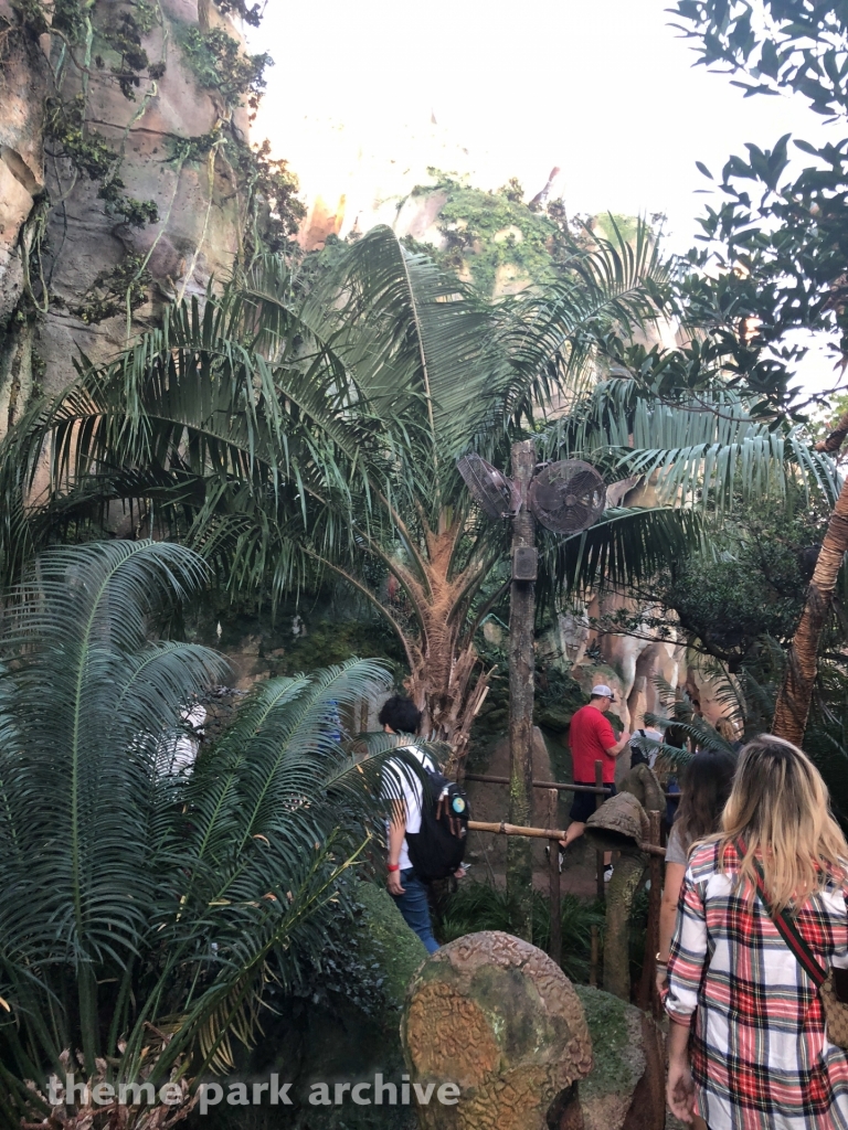 Avatar Flight of Passage at Disney's Animal Kingdom