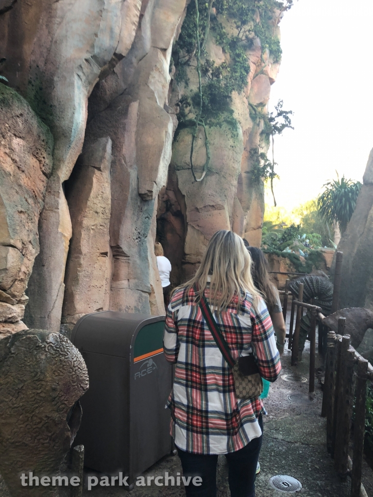 Avatar Flight of Passage at Disney's Animal Kingdom