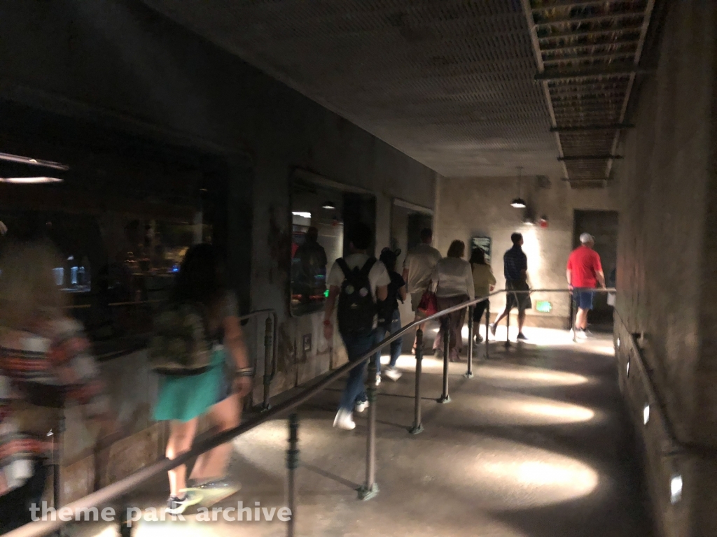 Avatar Flight of Passage at Disney's Animal Kingdom