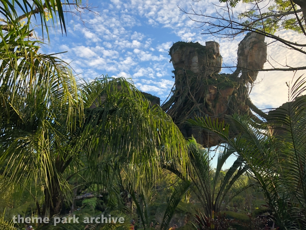 Avatar Flight of Passage at Disney's Animal Kingdom
