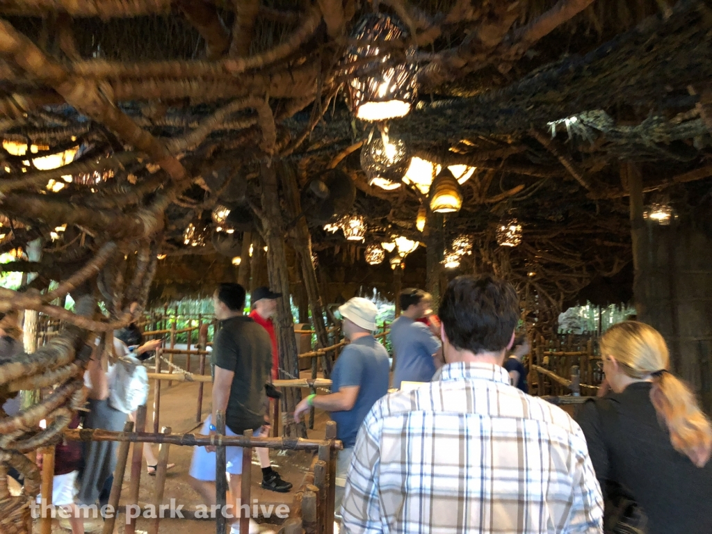 Na'vi River Journey at Disney's Animal Kingdom