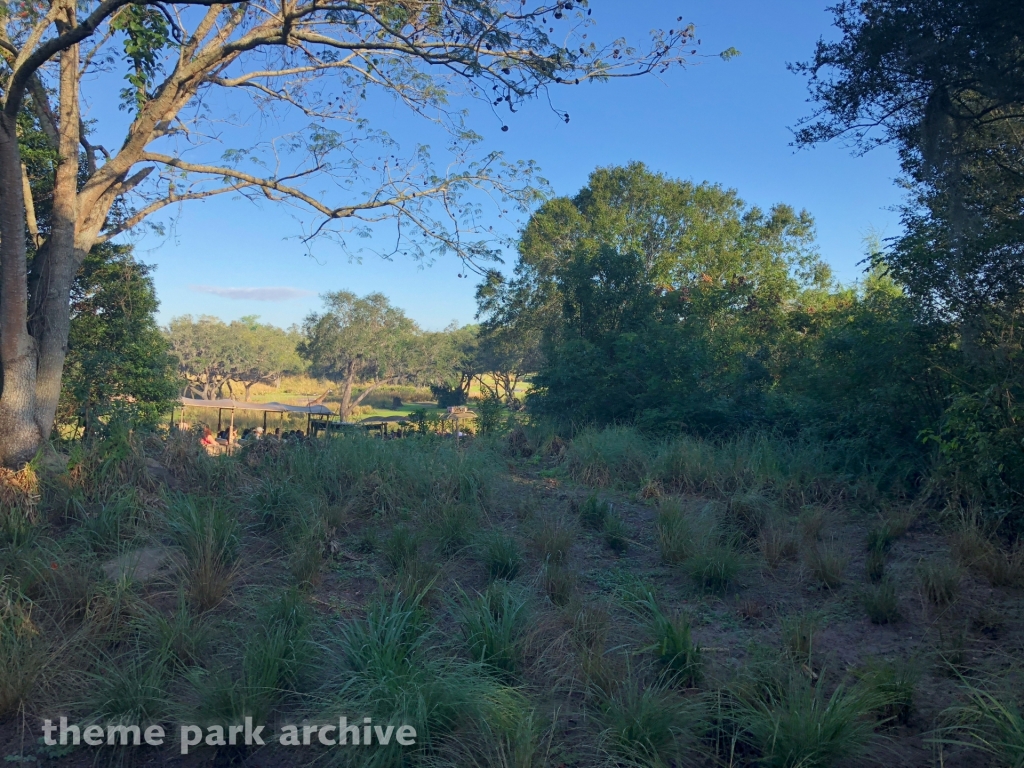 Kilimanjaro Safaris at Disney's Animal Kingdom