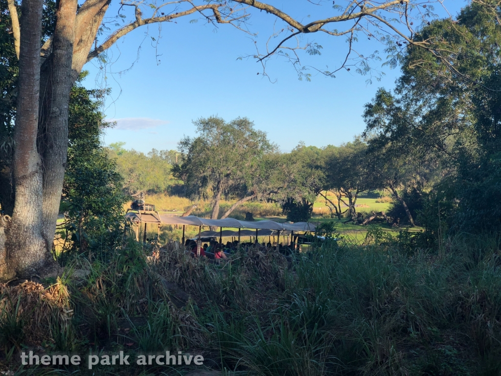Kilimanjaro Safaris at Disney's Animal Kingdom