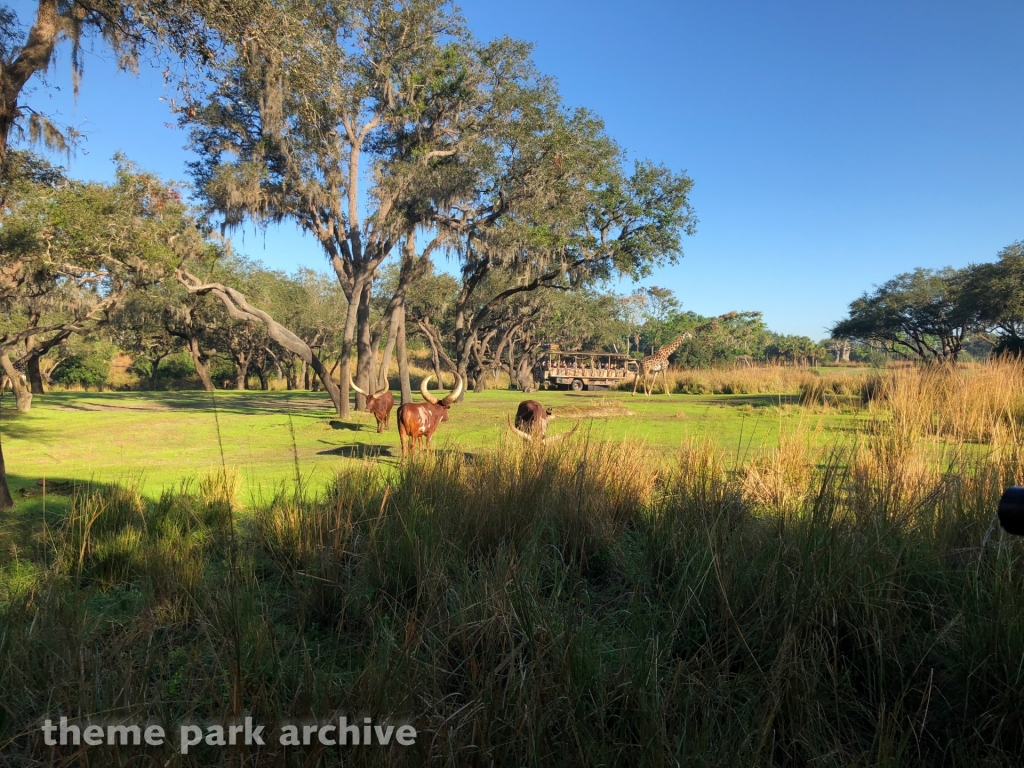 Kilimanjaro Safaris at Disney's Animal Kingdom